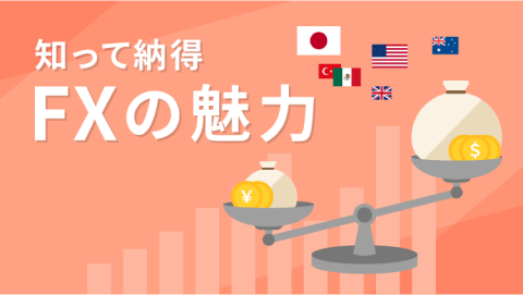 知って納得 FXの魅力