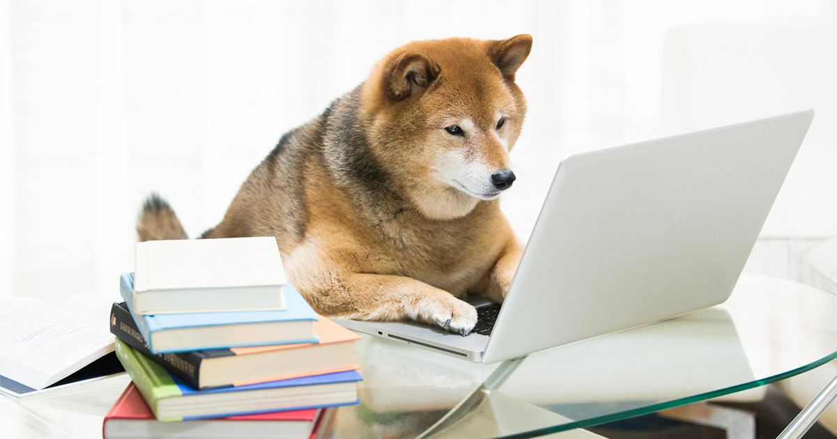自粛疲れの癒しに 可愛くておもしろい愛すべき動物たち カブヨム 株のことならネット証券会社 Auカブコム