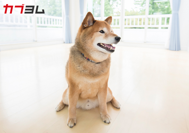 一棟投資との違いは？ワンルームマンション投資のメリットとデメリット