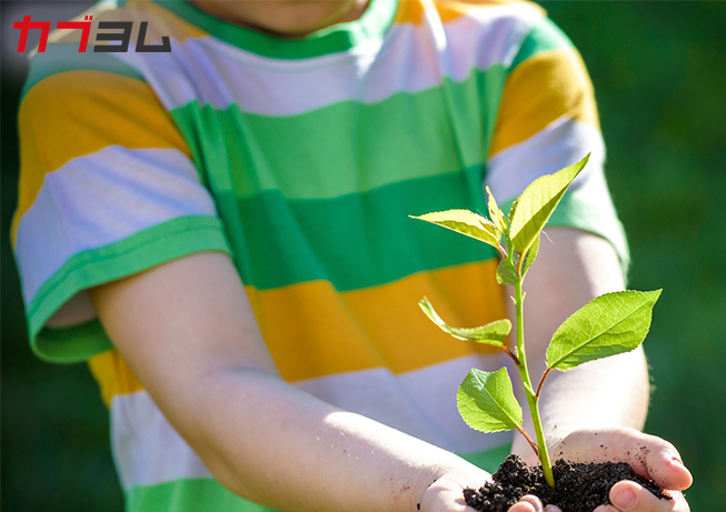 2023年終了予定！今から活用するジュニアNISA