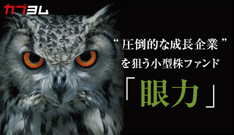 小型株時代到来か！？ファンド「眼力」が狙う“圧倒的な業績成長力”を持つ銘柄とは？