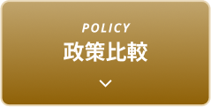 POLICY 政策比較